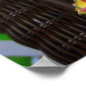 Poster de chiot Doodle Doré (Coin)