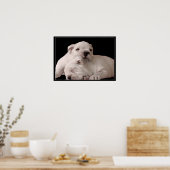 Poster de chiots Bulldog (Cuisine)