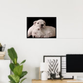 Poster de chiots Bulldog (Bureau à domicile)