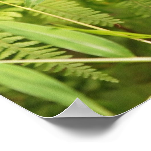 Poster de Chipmunk pour bébé déterminé (Coin)