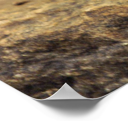 Poster de cire de cèdre (Coin)