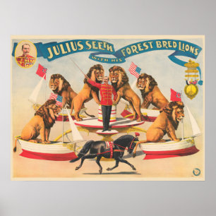 Poster De Cirque De Julius Vit Avec Ses Lions