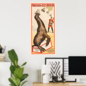 Poster De Cirque Montrant Un Lion De Mer Casquette (Bureau à domicile)