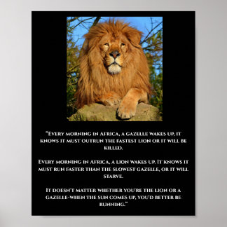 Poster de citation africaine Lion & Gazelle