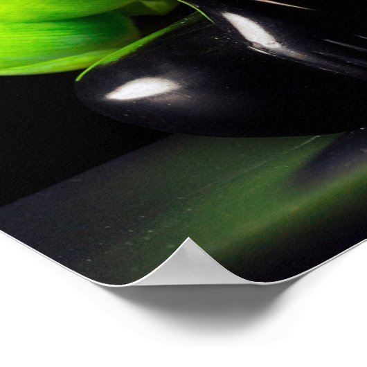 Poster de citation Bouddha 2 (Coin)