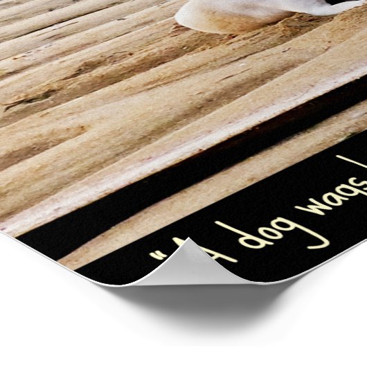 Poster de citation de chien (Coin)