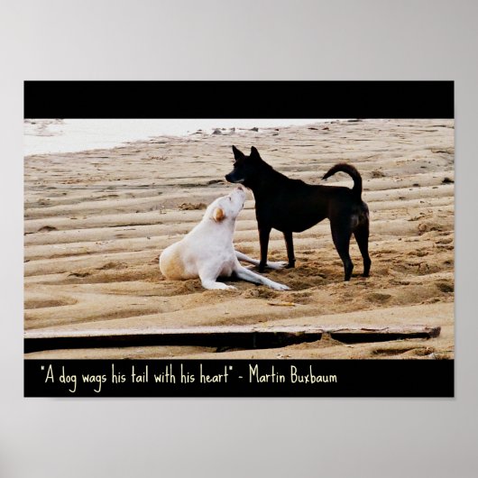 Poster de citation de chien (Devant)