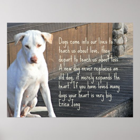 Poster de citation de chien - Erica Jong (Devant)