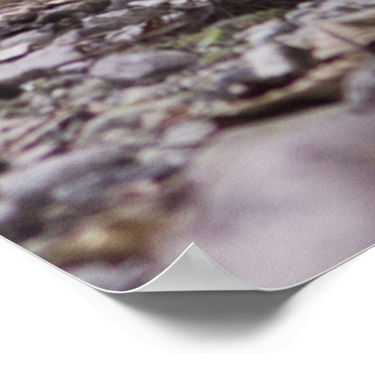 Poster de citation Robert Frost Wilderness (Coin)