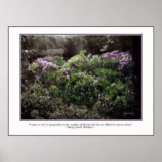 Poster de citation Thoreau - Sheep Laurel (Devant)