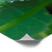 Poster de citation VanGogh (Coin)