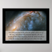 Poster de citation We Chiropractor (Devant)