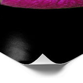 Poster de Clematis rose (Coin)