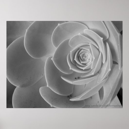 Poster de clôture (Devant)