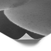 Poster de clôture (Coin)