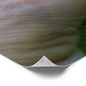 Poster de clôture de Ricefield (Coin)
