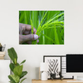 Poster de clôture de Ricefield (Bureau à domicile)