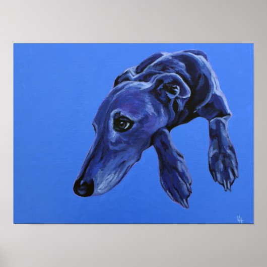 Poster de 'Cobalt Daydream' - chien bleu lurcher (Devant)