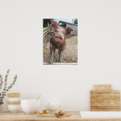 Poster de cochon boueux amusant (Cuisine)