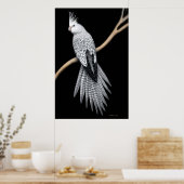 Poster de Cockatiel à poêle à perles blanc (Cuisine)