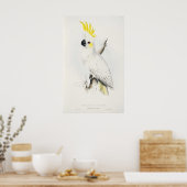 Poster de Cockatoo Gratiné Jaune (Cuisine)