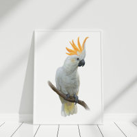Poster de Cockatosa dessiné à la main blanche
