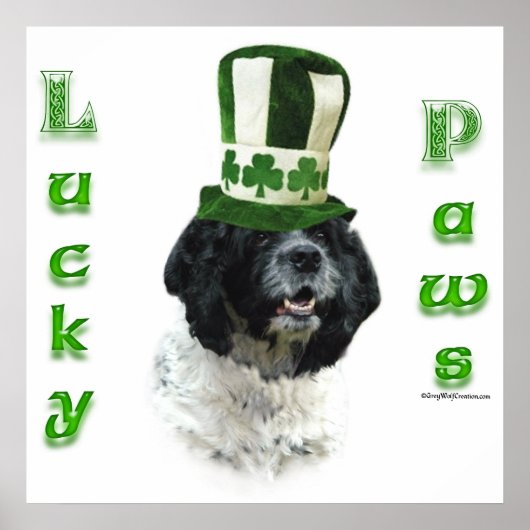 Poster de Cocker Spaniel Lucky Paws (Devant)