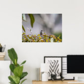Poster de colibri 3346 (Bureau à domicile)