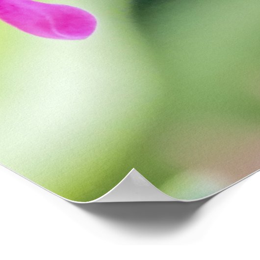 Poster de colibri de caraïbe à thème vert (Coin)