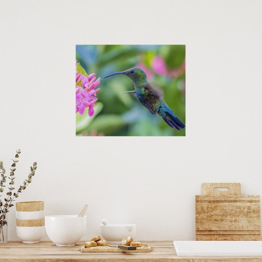Poster de colibri de caraïbe à thème vert (Cuisine)