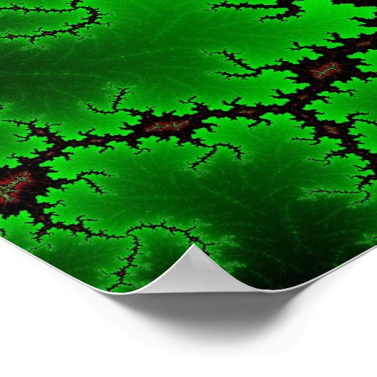 Poster de collage de corail (Coin)