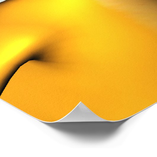 Poster de collecte de canards (Coin)