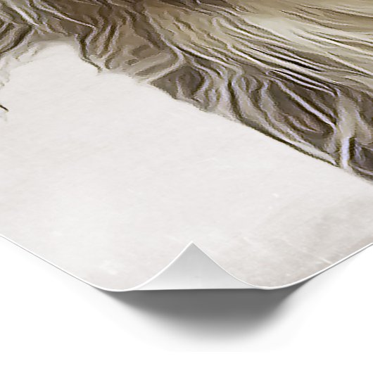 Poster de Collie (Coin)