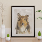 Poster de Collie