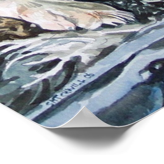 Poster de Collie Bordure (Coin)