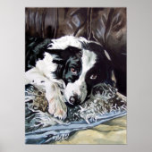 Poster de Collie Bordure (Devant)