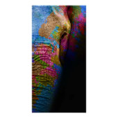 Poster de Color Elephant (Devant)