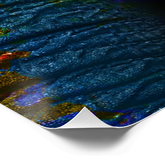 Poster de Color Elephant (Coin)