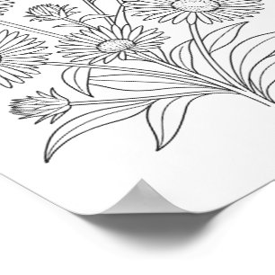 Poster de coloriage Aster de la Nouvelle-Angleterr