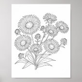 Poster de coloriage Aster de la Nouvelle-Angleterr (Devant)