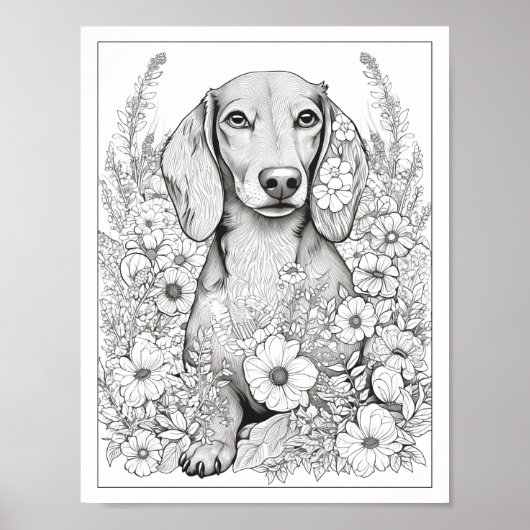 Poster de coloriage de Chien de Cute Dachshund (Devant)