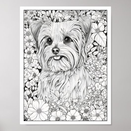 Poster de coloriage de chien de Yorkshire (Devant)