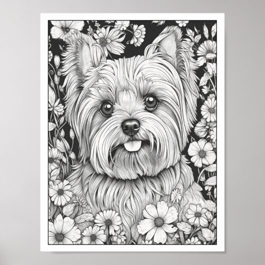 Poster de coloriage de chien de Yorkshire (Devant)