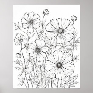 Poster de coloriage des fleurs Cosmos pour adultes