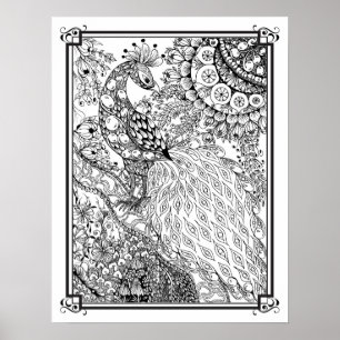 Poster de coloriage "Le paon majestueux de Mme Dee