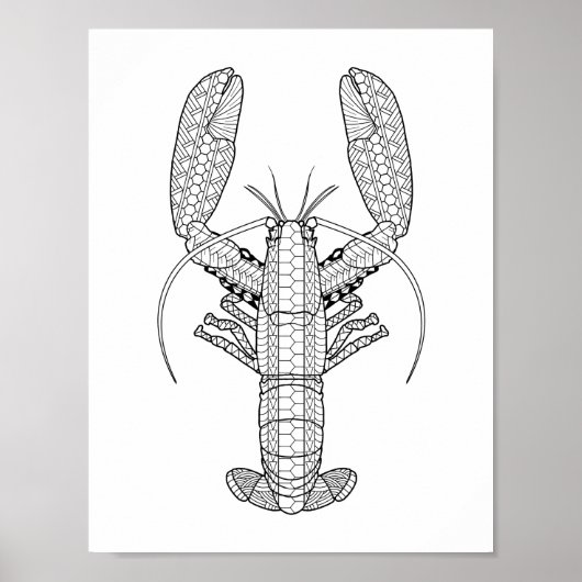 Poster de coloriage pour adultes de homard (Devant)