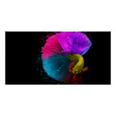 Poster de Combat Fish (Devant)