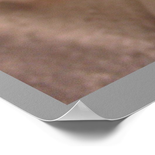 Poster de conception géométrique métallique de la (Coin)