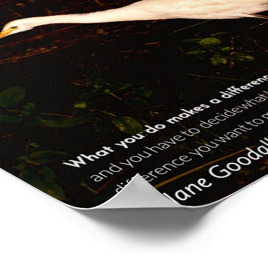 Poster de conservation de la faune - Jane Goodall (Coin)