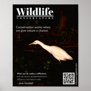 Poster de conservation de la faune - Jane Goodall 